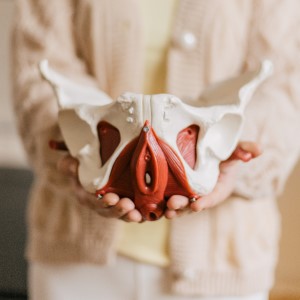 treningi dna miednicy